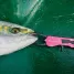 BELMONT MR-004 METAL FISH GRIP