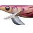DAIWA Emeraldas STAY 40