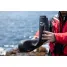 DAIWA boot PB-3530