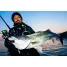 DAIWA rod LABRAX AGS
