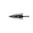 DAIWA  STEEZ SNAPPY FROG