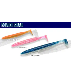 ECOGEAR POWER SHAD 4inch(100mm)