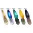 FOREST PAL LIMITED 2022 1.6g