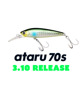 IMA ATARU 70S