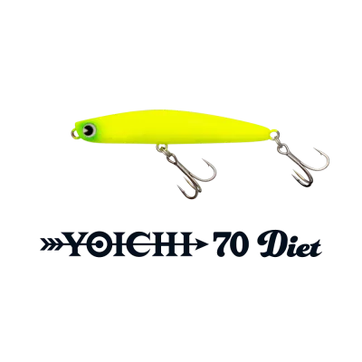 IMA YOICHI 70 Diet
