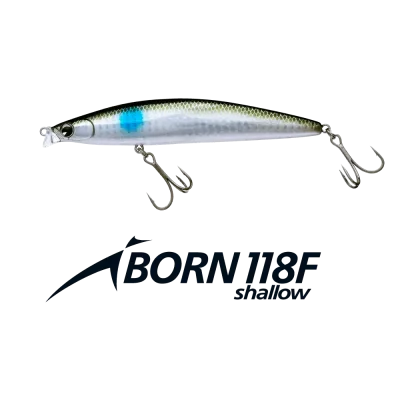 IMA iBORN 118F shallow