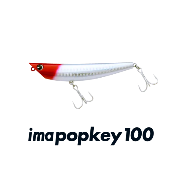 IMA imapopkey 100