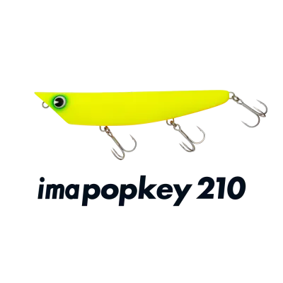 IMA imapopkey 210