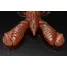 Jackall BLEEKER SLIT CLAW 2.2inch