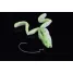 Jackall CLONE FROG-1pc
