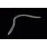Jackall FLICK SHAKE 2.8” - 1pc
