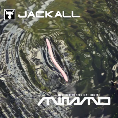 Jackall MINAMO 6”