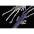 Jackall NEKOSHRIMP - 1pc