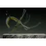 Jackall NEKOSHRIMP - 1pc