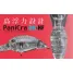Jackall PANICRA DR-HF