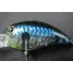 Jackall PANICRA DDR