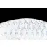 Jackall PANICRA SR