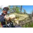 Jackall SPINVIDO 70SP