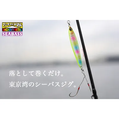 Jackall SEABASS ANCHOVY METAL 80g