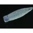 Jackall WOBBRING 3.0" - 1pc