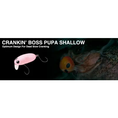 NORIES CRANKIN BOSS PUPA SHALLOW