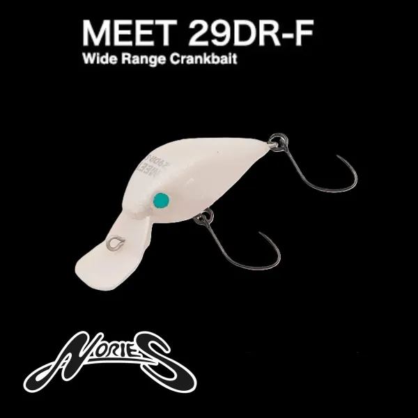 NORIES Meet29 DR-F
