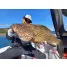 SMITH BAY LINER  BL-S732MH/RF