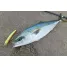 SMITH SARUNA 147F-SR
