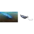 SMITH Tiny Zulby