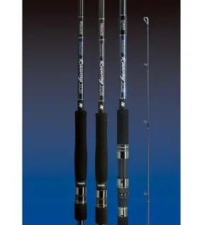 XESTA rod Runway XR
