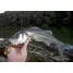 ECOGEAR Jig PARAMAX 2   - 41mm