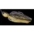 Nories spinner WIND RANGE 18g