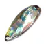FOREST MIU NATIVE ABALONE 2.8(3.0cm)